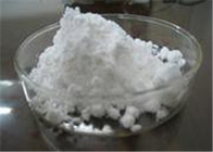 Senile Dementia Huperzia Serrata Extract , CAS 120786-18-7 Huperzine A Powder