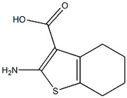 Cas 5936-58-3 Medical Raw Materials 2-Amino-4,5,6,7-Tetrahydro-Benzo[B]Thiophene-3-Carboxylic Acid