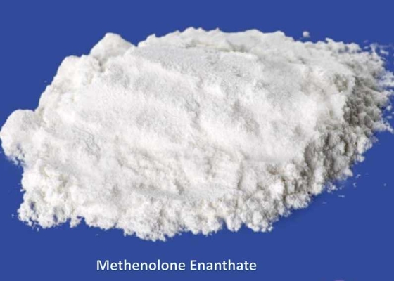 Primobolan Methenolone Enanthate Bodybuilding Powders Aromatizing CAS 303-42-4