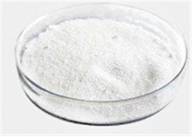 Huperzia Serrate Extract Raw Steroid Powders Huperzine A Supplement CAS 120786-18-7