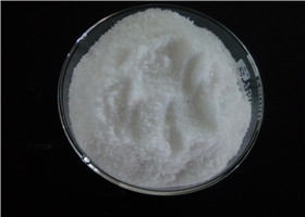 99% Raw Steroid Powders Testosterone Phenylpropionate / Testolent 1255-49-8