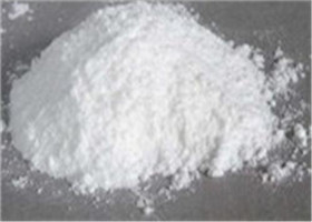 Primoteston Testosterone Enanthate Bodybuild , CAS 315-37-7 Testosterone Powder Source