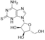 43157-50-2，6-amino-9-[(2R,3R,4S,5R)-3,4-dihydroxy-5-(hydroxymethyl)oxolan-2-yl]-1H-purine-2-thione，C10H13N5O4S